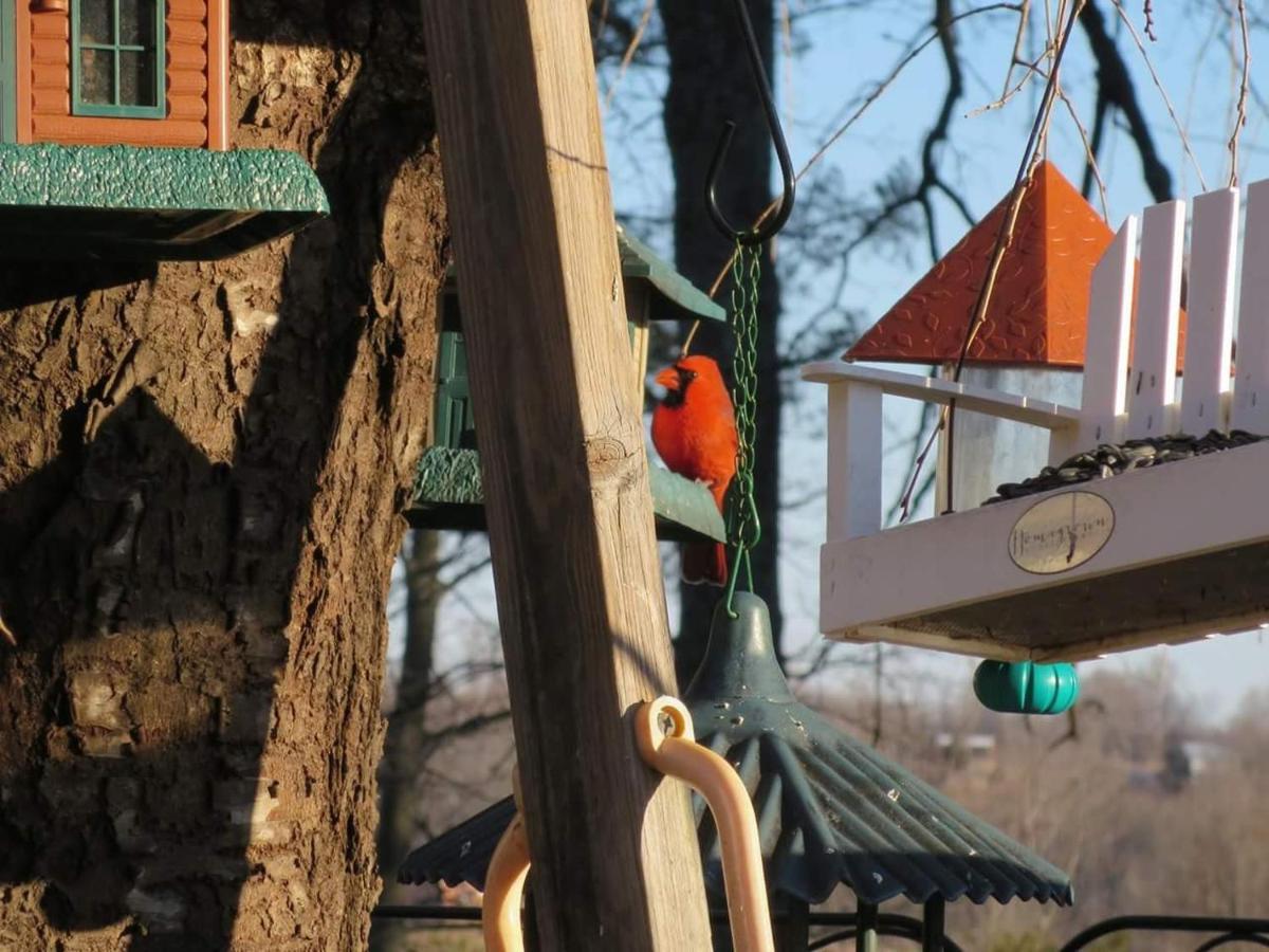 Blue Ridge Manor Bed And Breakfast Fancy Gap Екстер'єр фото