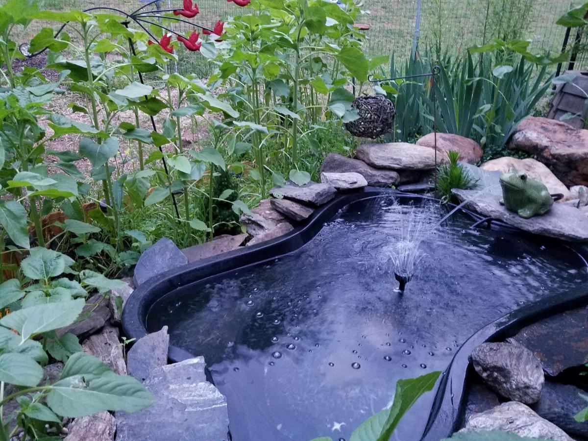 Blue Ridge Manor Bed And Breakfast Fancy Gap Екстер'єр фото